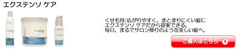 ロレアル プロフェッショナル【エクステンソ ケア】シャンプー トリートメント 激安通販。最安値、感動サービスに挑戦！