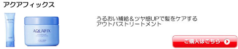 アクアフィックス 資生堂プロフェッショナル
