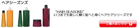 ヘアシーズンズ DEMI デミ　シャンプー　トリートメント　激安