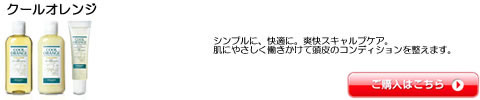 クールオレンジ　ルベル　シャンプー　トリートメント　激安通販