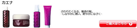 ポーラ POLA カエナ シャンプー トリートメント 激安 通販