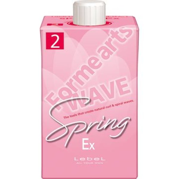 画像1: フォルムアーツ スプリング EX 2剤 400mL (1)